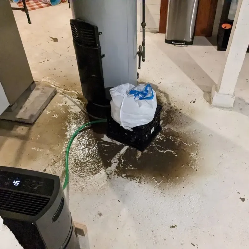 Sewage Backup Cleanup Service in Atascosa County, TX